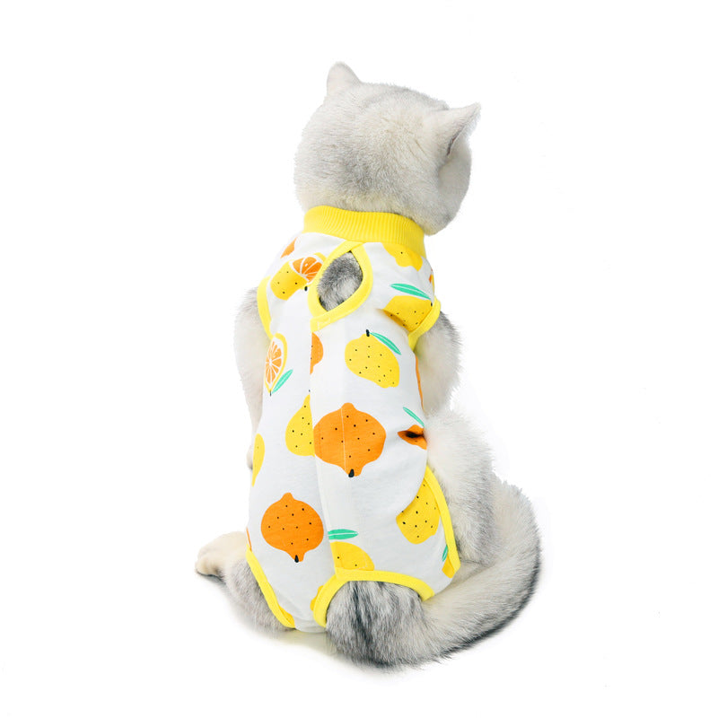 ZenPaw Co. Cat Recovery Suit - Soft Cotton Post-Surgery Shirt for Cats & Kittens (Fruit Collection)