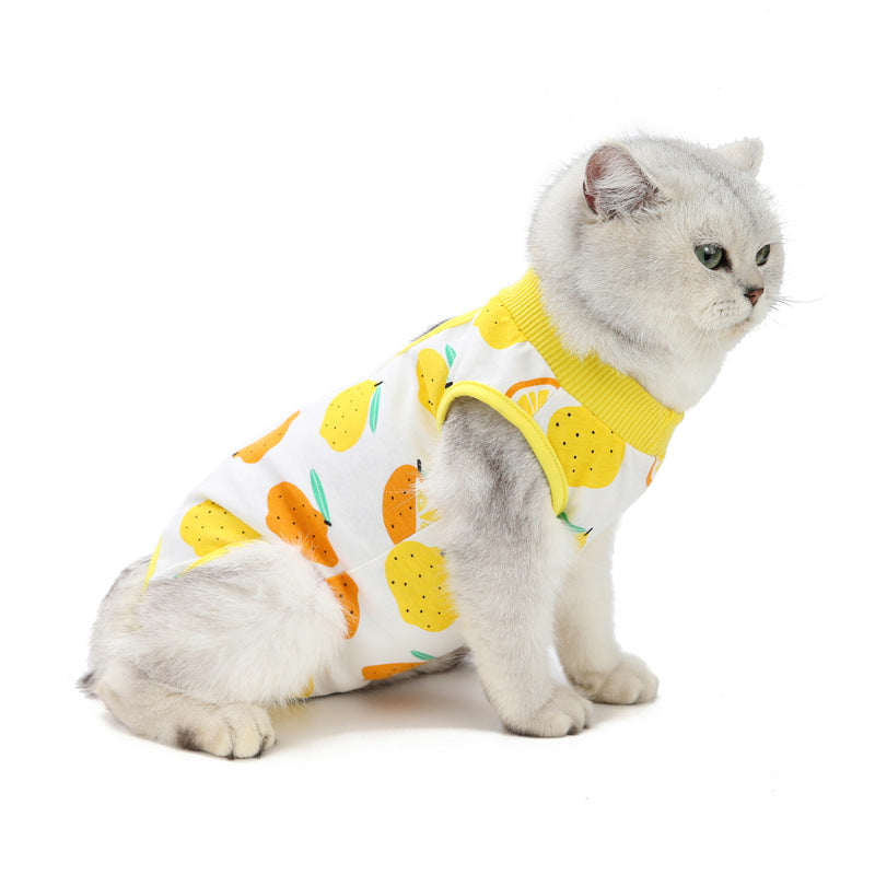 ZenPaw Co. Cat Recovery Suit - Soft Cotton Post-Surgery Shirt for Cats & Kittens (Fruit Collection)